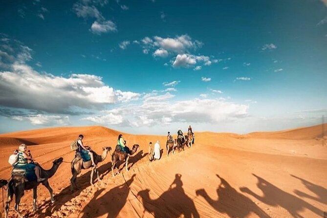 Desert Agafay and Atlas Mountains & Camel Ride Day Trip From Marrakech - Meals and Transportation