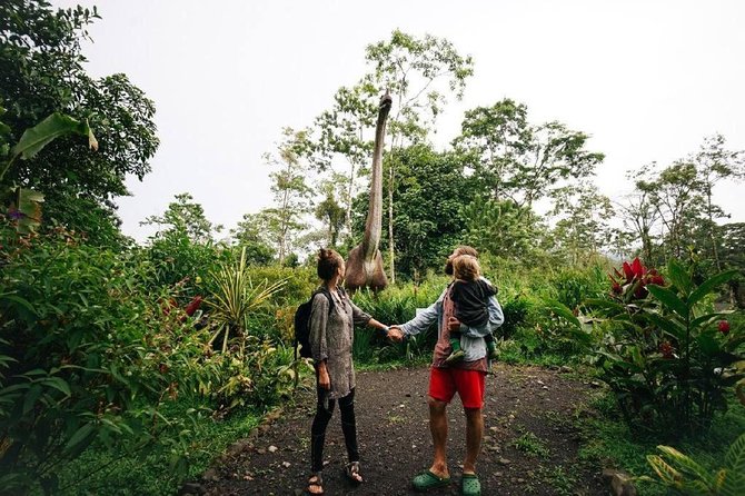 Dino Park and Blue River Resort Adventure in Rincon De La Vieja From Tamarindo - Accessibility Features