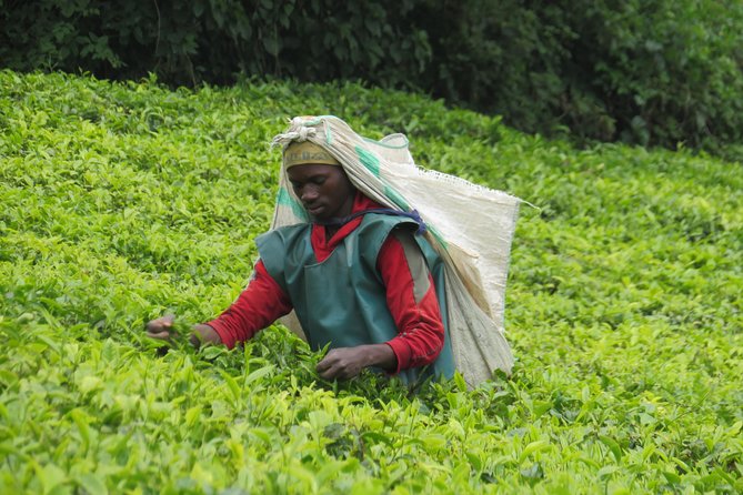 Discover Burundi in 6 Days - Practical Information and Tips