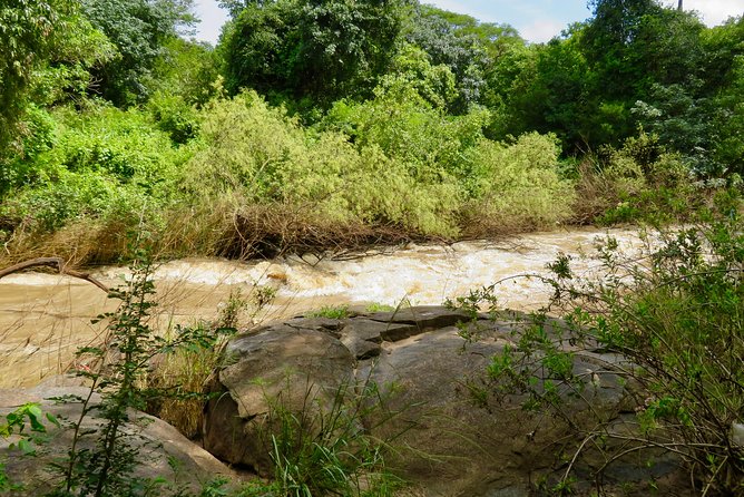 Discover Malawi in 7 Days. Private Tour With Accommodation - Day 5: Wildlife Safari