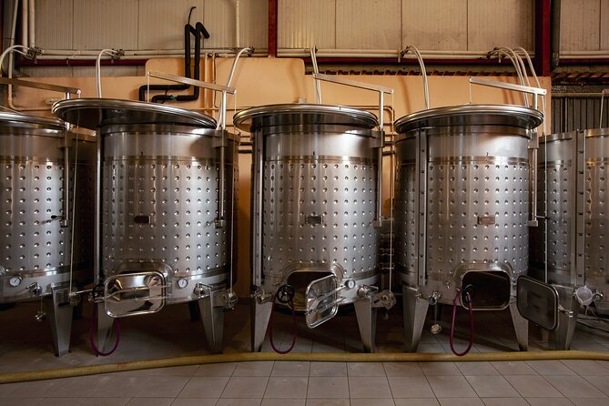 Discover the Essence of Ibiza'S Rich Wine Culture - Guided Cellar Tour at Bodega Ojo De Ibiza