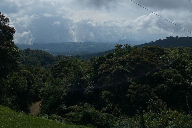 Discover the Hidden Wonders of Monteverde - Breathtaking Cloud Forests
