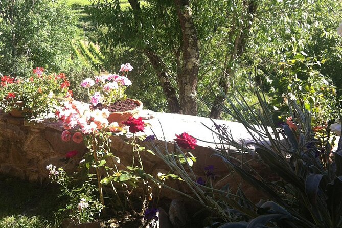Discover the Tastes of Tuscan Home Cooking - Tuscan Home Cooking Booking Information