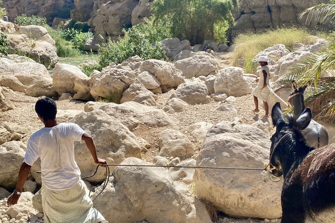 Discover Wadi Shab by a Professional Omani Guide (private). - Additional Information