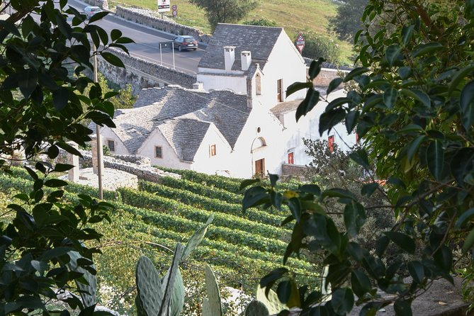 Discovering Alberobello and Locorotondo - Operator Details