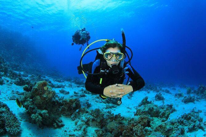 Diving Experience for Beginners in San Andres - Cancellation Policy Explained