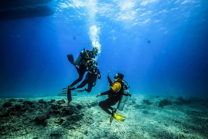 Diving Full Day For Beginners Boat Trip 2 Stops Diving and Lunch – Marsa Alam - Price and Booking