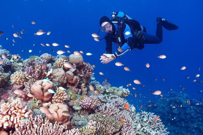 Diving in Hurghada for Beginners With Lunch and Transfer - Pickup Information