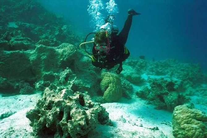 Diving Tour in Hurghada - Booking Information and Policies