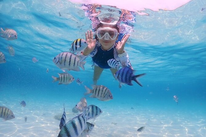 Dolphin House Trip in Hurghada - Detailed Itinerary
