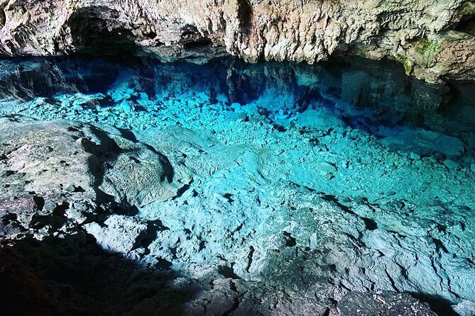 Dolphin Tour, Jozani Forest, Kuza Cave, Paje Beach,The Rock Restaurant, Kae Funk - Pickup and Meeting Information