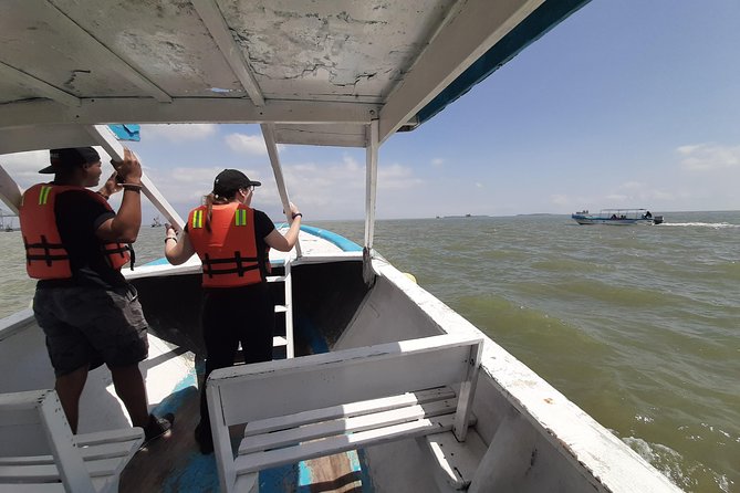 Dolphin Watching in Puerto El Morro From Guayaquil - Accessibility and Recommendations
