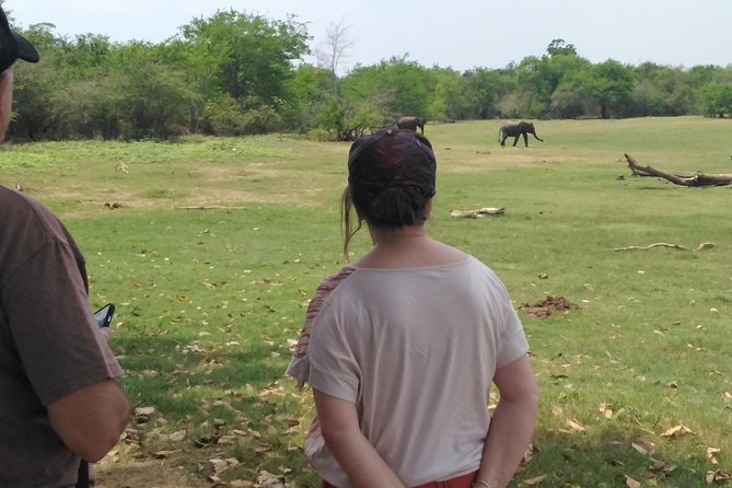 Down South Galle Tour - Pickup Information