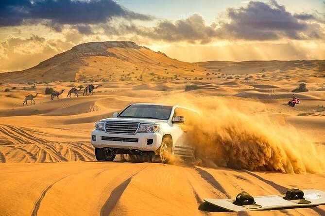Dubai Desert Adventure Camel Ride, Shows and BBQ Dinner - Activities