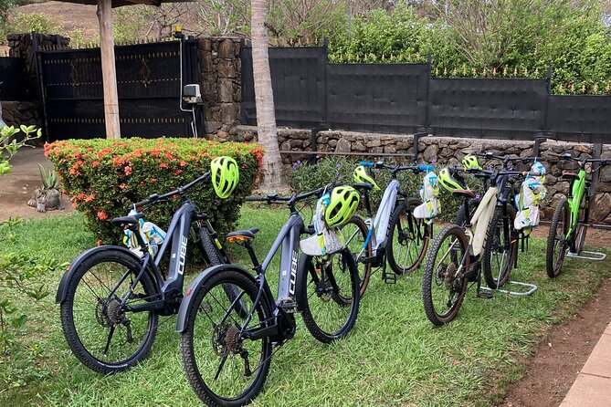 E-MTB Las Pilas Waterfall Tour