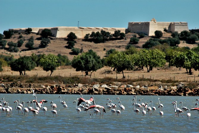 East Algarve Coastal Tour - Private Half-Day Tour - Additional Information