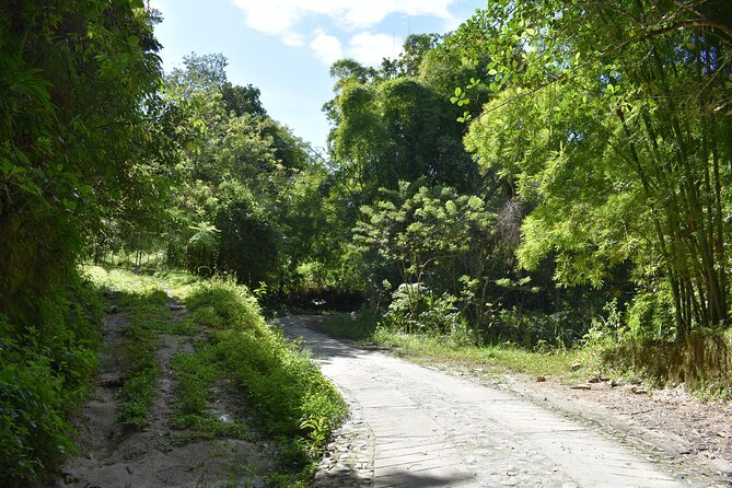 Easy Half-Day Hike to Gorgeous Waterfalls in Minca - Additional Information for Participants