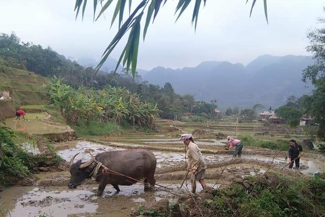 Easy Rider-Motorbike Tour-3 Days From Dalat to Nha Trang - Additional Information