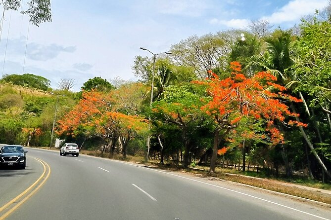 Easy Travel From Liberia Airport to Tamarindo in a Private Van - Pricing, Booking, and Guarantee