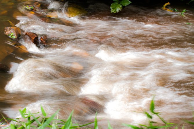 Eco Volta Expedition Tours - Special Offer