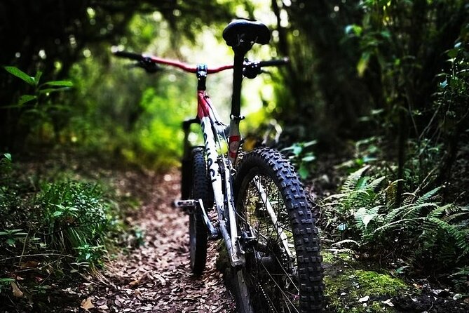 Ecuador Quito Andes Bicycle MTB Tour; Enduro, XC & DH. - Health and Safety Guidelines