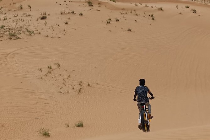 Electric Fat Bike Desert Experience in Dubai - Meeting Point
