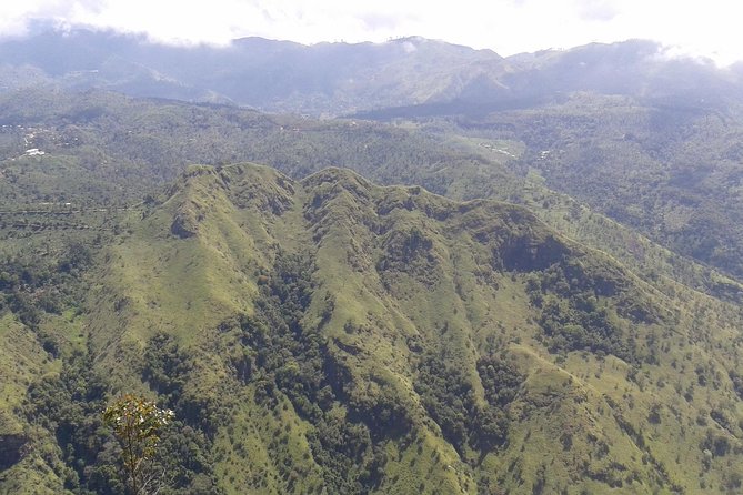 Ella Attraction's Ella Rock, Little Adam's Peak, Nine Arches Bridge in One Day - Activity Highlights