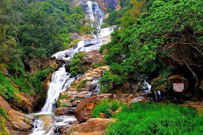 Ella Day Trip With Train Ride & Tea Factory - All Inclusive - Customer Reviews