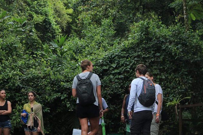 Entrance Fee to Arenal Volcano Ecological Park - Meeting and Pickup Details