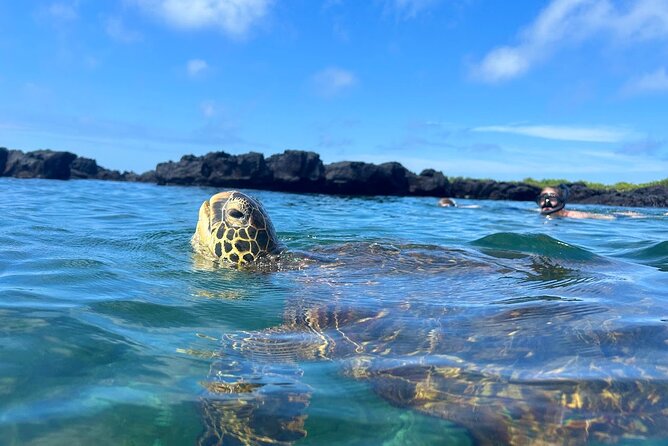 Epic 12-Day Island Hopping Dive Safari From Galapagos Ocean - Additional Information