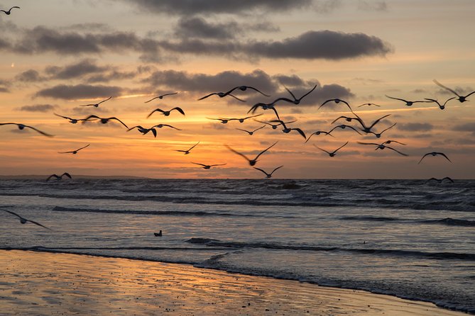 ESSAOUIRA 1 Day Private Trip From Marrakech - Meeting and Pickup Points