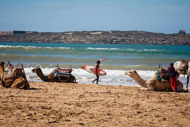 Essaouira City Sightseeing Day Tour - Inclusions and Exclusions