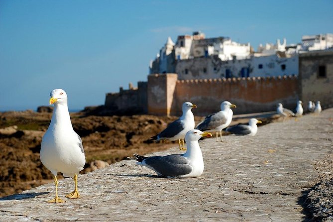 Essaouira Small Peaceful Romantic and Traditional Town - Town Overview
