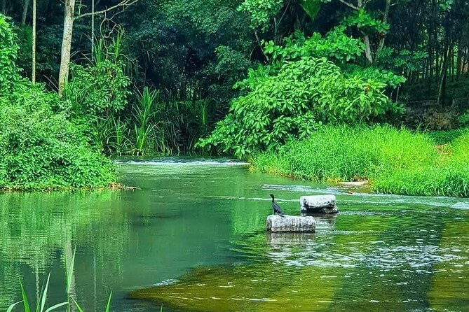 Ethnic Villages & Kochi Backwater Experience on Women Empowerment - Empowering Women Through Tourism Initiatives