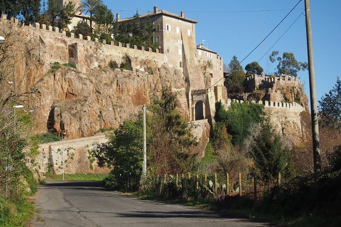 Etruscan Highlights From Civitavecchia Port - Private Guided Tours Available