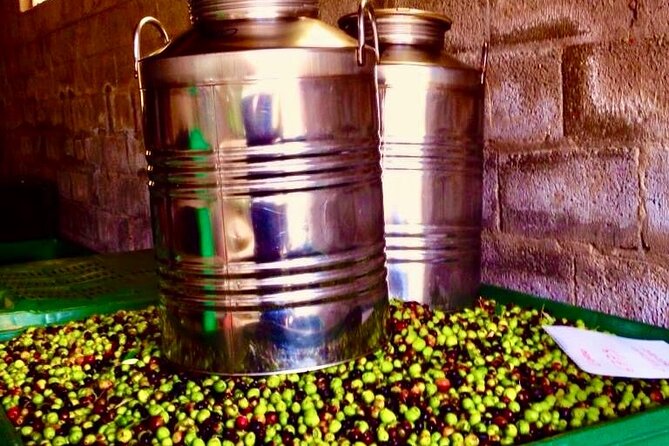 Euganean Hills, Ham, Wine and Olive Oil Production Farm Private Day Tour - Inclusions and Logistics
