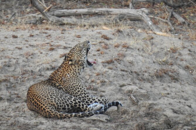 Evening Safari - Yala National Park With Janaka Safari - 02.00 Pm to 06.30 Pm - Pickup and Drop-off Details