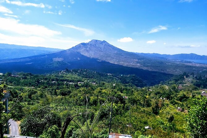 Exciting Trip in Bali in Two Days - Cancellation Policy