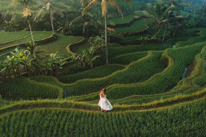 Exciting White Water Rafting and Swing at Tegallalang Rice Terrace Package - Cancellation Policy