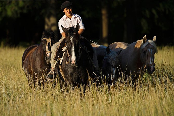 Exclusive Farm Day at Estancia La Bandada, Including Traditional Argentine Barbecue, Horseback Riding and Gaucho´S Show - Frequently Asked Questions