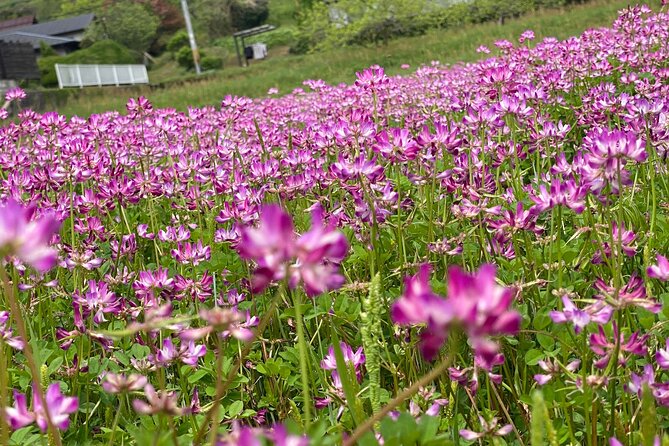 Exclusive Luxury Day Tours Serene Nara - Cancellation and Refund Policy