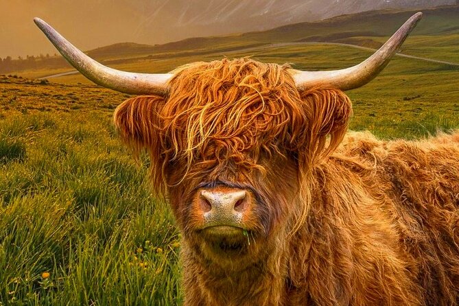 Exclusive Private Tours: Customizable 1-7 Day Scottish Adventures - Transportation Details