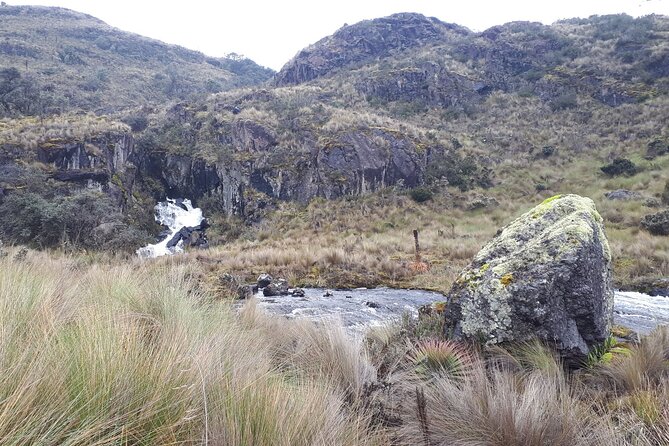 Excursion Day Cajas National Park From Guayaquil - The Sum Up