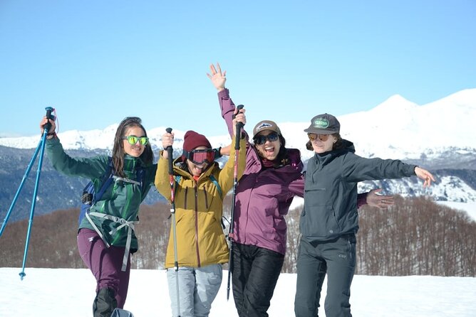 Excursion to Los Nevados, Villarrica National Park - Pickup