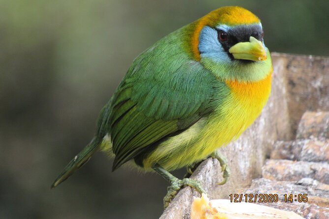 Excursion to the Farallones De Cali - Booking Directions