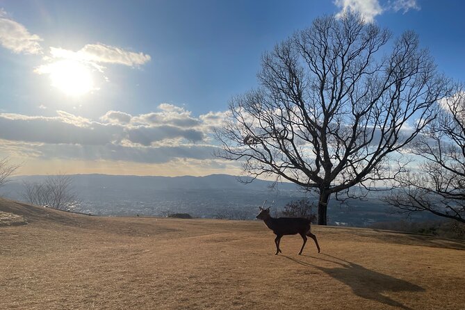 Experience Kyoto: A Full-Day Private Tour Adventure - Inclusions and Exclusions