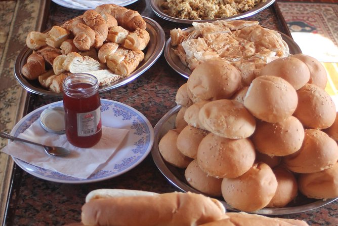 Experience the Dolphin House With Breakfast