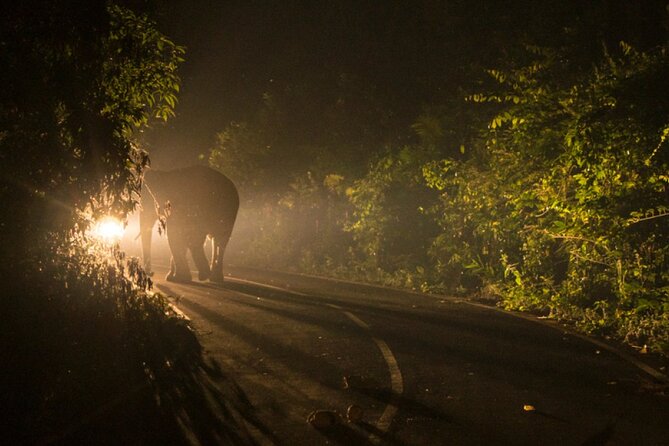 Experience Victoria Falls at Night With Baobab Juice Tasting - Pickup Information
