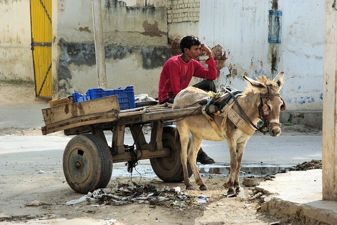 Explore Mandawa Town With Bikaner Drop From Jaipur With Guide