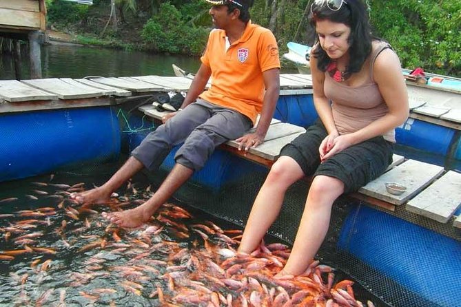Explore Nature and Heritage in Galle From Colombo (All Inclusive Day Tour) - Itinerary Overview